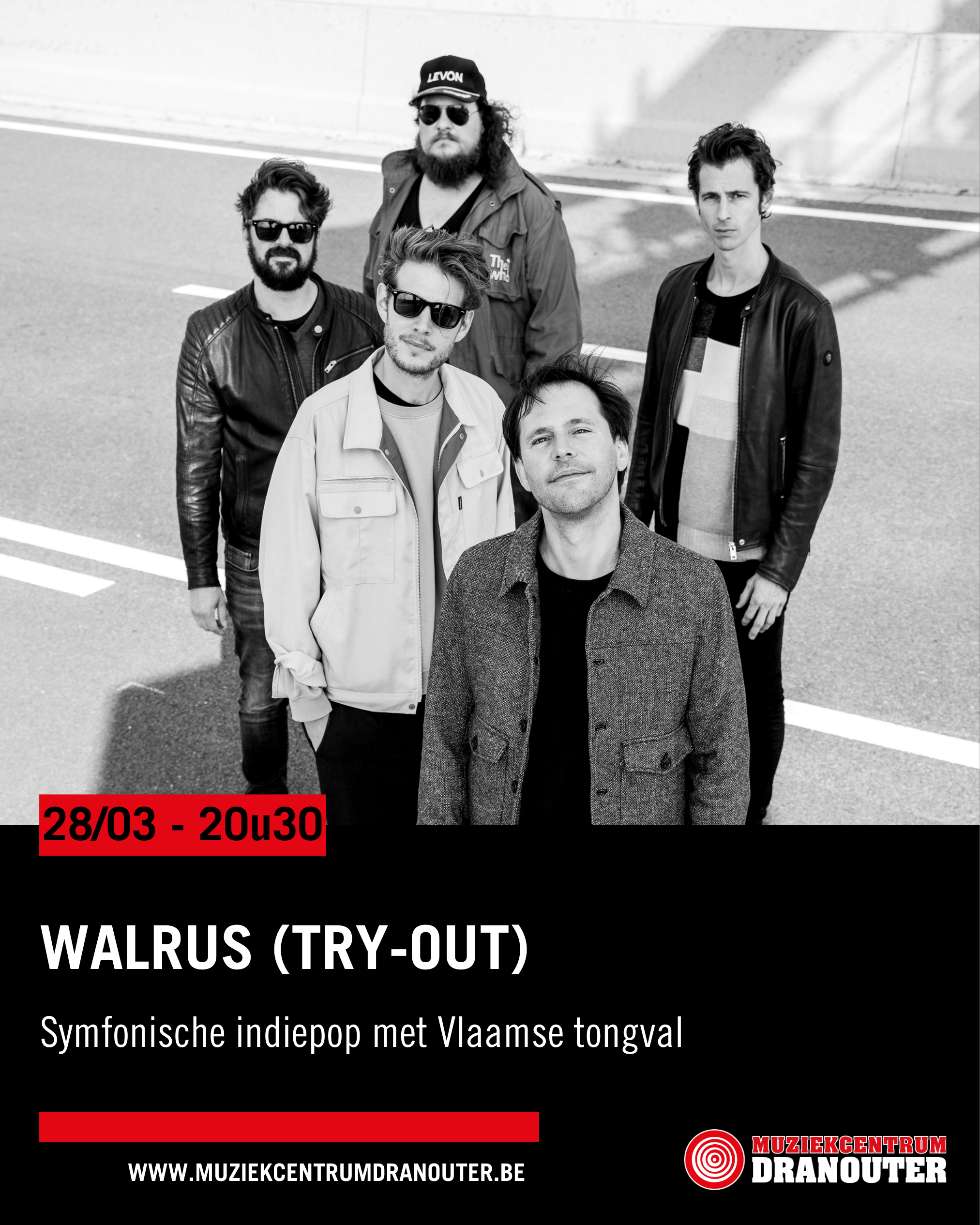 Walrus